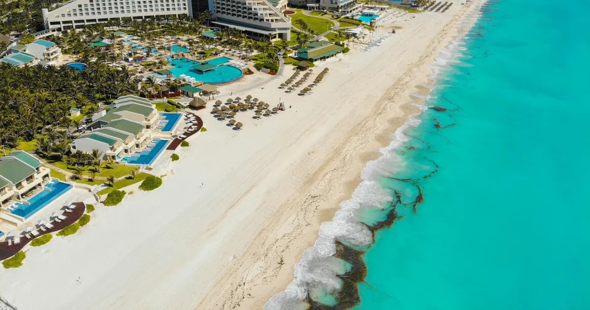 Cancún Field Guide